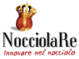 Le ultime notizie dal mondo del nocciolo